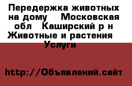 Передержка животных на дому. - Московская обл., Каширский р-н Животные и растения » Услуги   